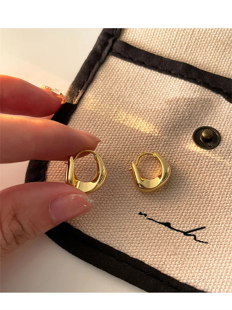 925 Sterling Silver Earrings for Women Ear Hoop Versatile Sweet Girl Fashion Jewery New Year Gifts Accessories